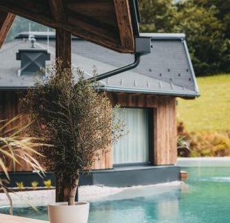 Murau Hotel | Hotel Rosenhof Murau