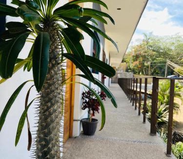 Sayulita Hotel | Hotel Samanu