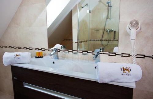 Ceske Budejovice Hotel | Hotel Savoy