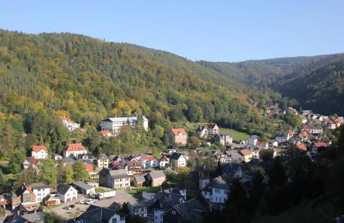 Schwarzburg Hotel | Hotel SchwarzaBurg