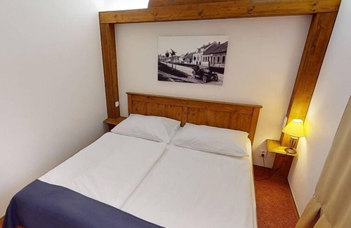 Vyskov Hotel | Hotel Selský Dvur