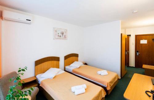 Saturn Hotel | Hotel Siret Saturn