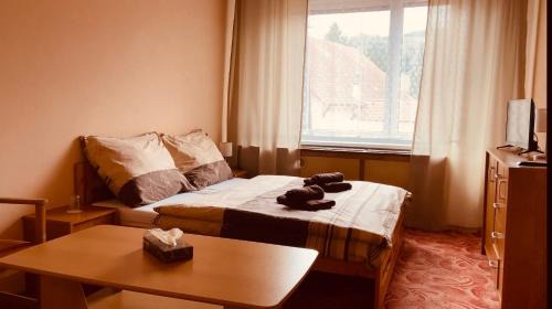 Lipova-Lazne Hotel | Hotel Slatina