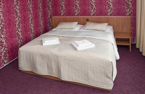 Hradec nad Moravici Hotel | Hotel Sonata