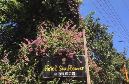 Kataragama Hotel | Hotel Sunflower