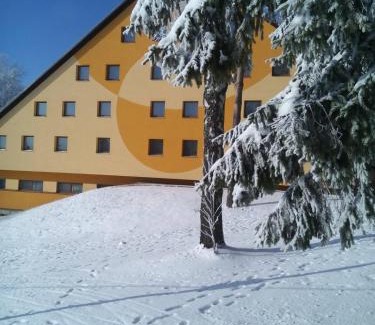 Svratka Hotel | HOTEL SVRATKA