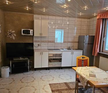 Viernheim Apartment | Hotel Tenne