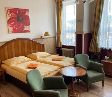 Stribro Hotel | Hotel U Branky