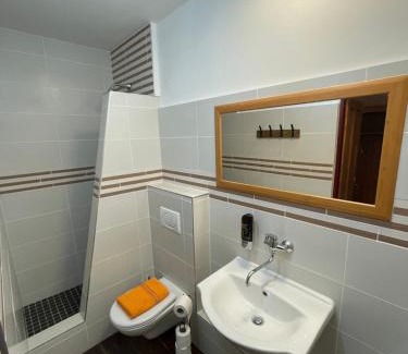 Stribro Hotel | Hotel U Branky