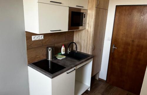Trojanovice Hotel | Hotel U Kociana
