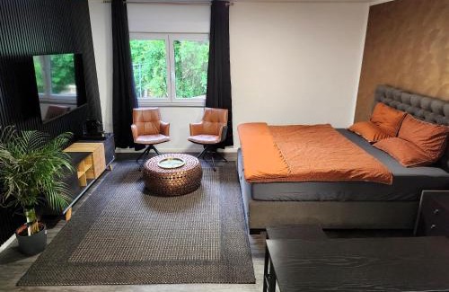 Hofheim am Taunus Apartment | Hotel Valley of Business Frankfurt-Airport - BLACK LABEL STUDIO