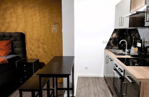 Hofheim am Taunus Apartment | Hotel Valley of Business Frankfurt-Airport - BLACK LABEL STUDIO