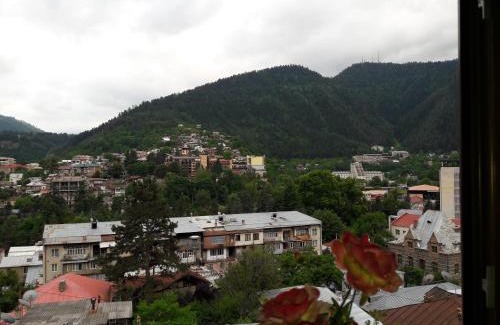 Borjomi House | Hotel Victoria-Panorama
