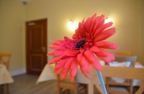 Bad Homburg v.d. Hoehe House | Hotel Villa Kisseleff