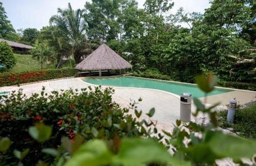 Palenque Hotel | Hotel Villa Mercedes Palenque