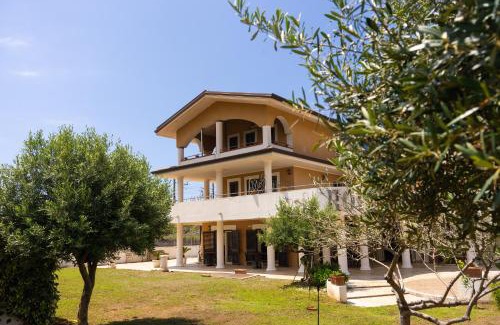 Tortora Marina Hotel | Hotel Villa Senator Mediterraneo