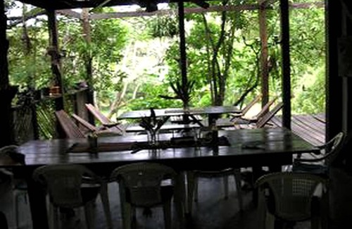Bullet Tree Falls House | House ∙ 1 bedroom ∙ 3 guests
