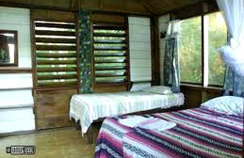 Bullet Tree Falls House | House ∙ 1 bedroom ∙ 3 guests
