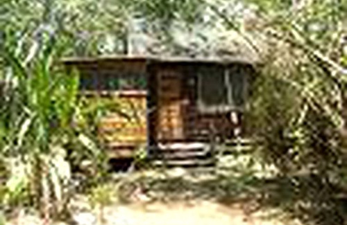 Bullet Tree Falls House | House ∙ 1 bedroom ∙ 3 guests