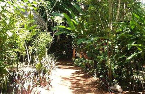 Bullet Tree Falls House | House ∙ 1 bedroom ∙ 3 guests