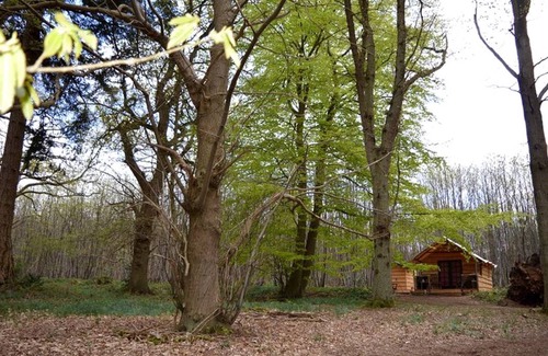 Petersfield House | House ∙ 1 bedroom ∙ 4 guests