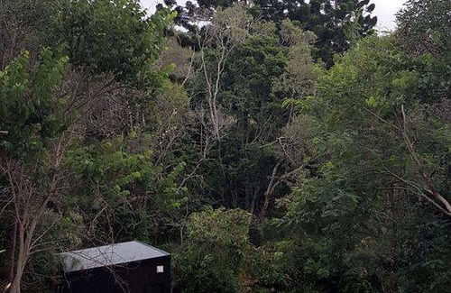 Bahrs Scrub House | House ∙ 1 bedroom ∙ 2 guests