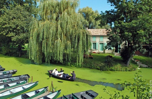 Villedoux House | House 12 mn from La Rochelle and 15 mn from Ile de Ré