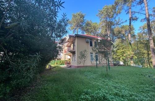 Shekhvetili House | House in Shekvetili