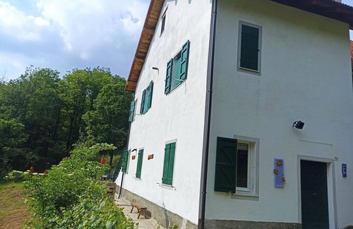 Urbe House | House in the Forest Purple (CITRA Code 009063-LT-0016)