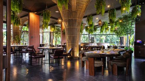 Anilao Resort | House of Gaia