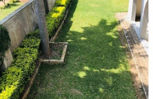 Bulawayo House | House of Sharma - 6bed 5.5bath
