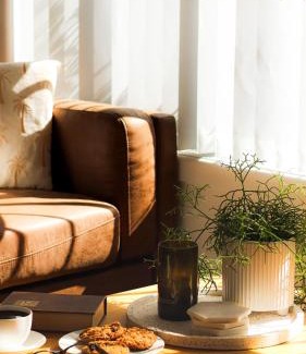 Penguin House | House on Hampson