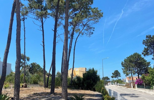 Lisbon Old Town House | House to rent in Portugal for nature, ocean and water sports lovers.