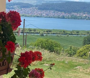 Amfithea Apartment | House with View in Amfithea