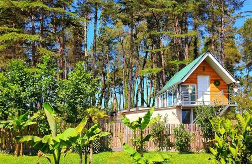 Ureki House | House & Yard Sesil Forest 90m to beach Kaprovani