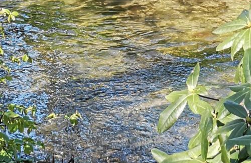 Coesfeld House | HR Cottage am Honigbach