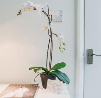Weavers House | HSA - Shoreditch