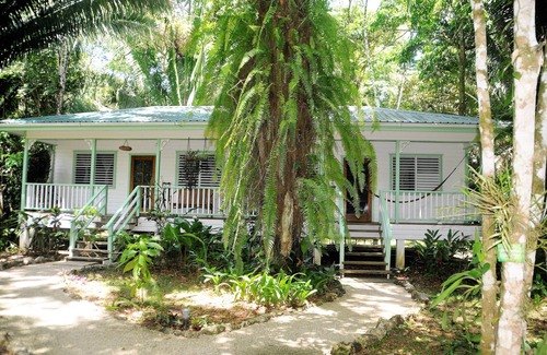 Forest Home Cottage | HUGE! Belize Vacation Lodge, 1 to 6 Private Cottages Plus Fully Equipped Kitchen