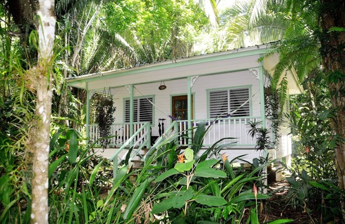 Forest Home Cottage | HUGE! Belize Vacation Lodge, 1 to 6 Private Cottages Plus Fully Equipped Kitchen