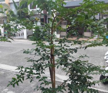 Calapan Apartment | Huge room transient