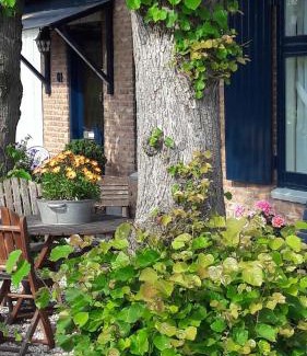 Municipality of Uithoorn House | Huis De Roos