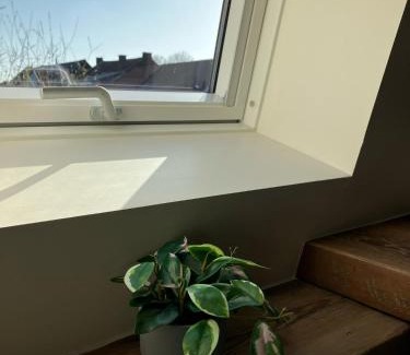 Tongeren House | Huisje Emma