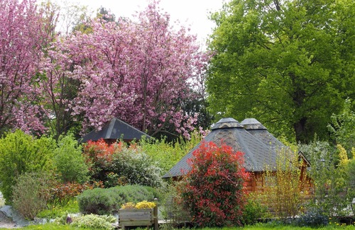 Talensac Cabin | Hut 2 person for a magical stay in Brocéliande, Brittany