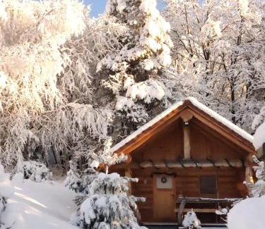 Male Brusnice House | Hut at the forest