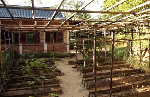 Bohorok House | Hutan Subur Guest House and Volunteering