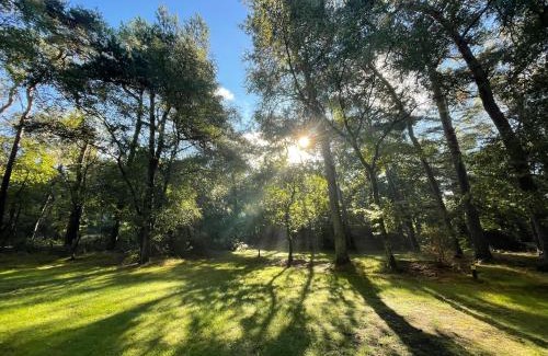 Kootwijk Other | Huttopia De Veluwe