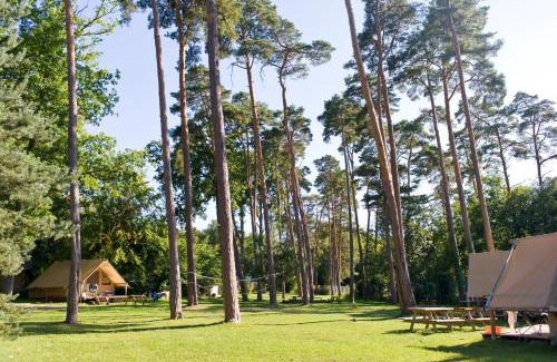 Kootwijk Other | Huttopia De Veluwe