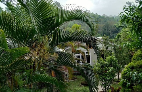 Geyzing Cottage | Hyangla Namsha Retreat- a rural homestay & farm