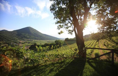 Baone Bed & Breakfast | I grilli b&b