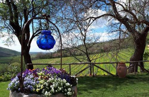 Baone Bed & Breakfast | I grilli b&b